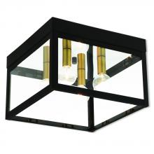  20589-07 - 4 Lt BZ Outdoor Ceiling Mount