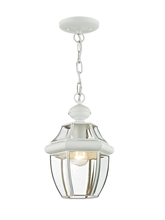  2152-03 - 1 Light White Outdoor Chain Lantern