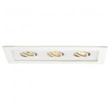  MT-316-WT/WT - Low Voltage Multiple Two Light Trim