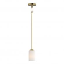  90030SWSBR - Deven-Suspension Pendant