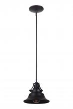  Z4421-MN - Union 1 Light Large Outdoor Pendant in Midnight