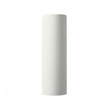  CER-5409W-BIS - Really Big ADA LED Tube - Open Top & Bottom (Outdoor)