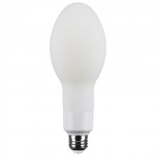  S13185 - 24 Watt LED HID Replacement; ED23.5; 5000K; Medium Base; White; 120-277 Range Voltage