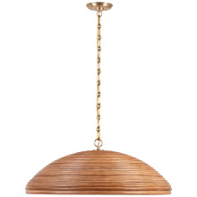 Visual Comfort & Co. Signature Collection SK 5385HAB-NRT - Emerson 29" Pendant