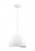  P1914-736 - Eclos 1 Light Pendant