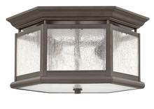 Hinkley 1683OZ - Edgewater Small Flush Mount