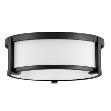 Hinkley 3241BK - Small Flush Mount