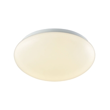  CL783004 - FLUSH MOUNT