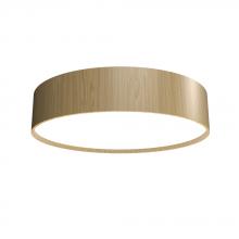  5013LED.45 - Cylindrical Accord Ceiling Mounted 5013 LED